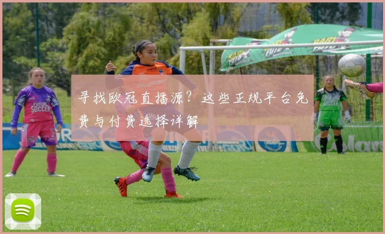 寻找欧冠直播源？这些正规平台免费与付费选择详解